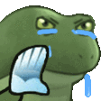 GifFrogeMadCrying Discord emoji