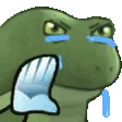 GifFrogeMadCrying