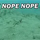 nope_nope_nope