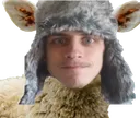 mathilsheep mathilsheep