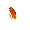 Cockroach Party Discord Emoji