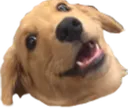 Wowee Wowee