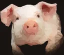 theotherpig theotherpig
