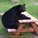 sleepybear