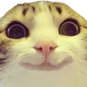starehappy