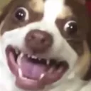 DugHape