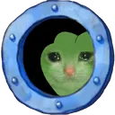 sadcatwindow