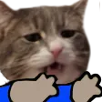 Beanhug Beanhug