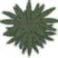 Smokeleaf Smokeleaf