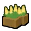 Corn