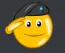 salute