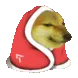 C1_cheemsCOZY