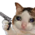 okcatsadgun