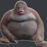 monke