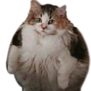 loops Discord emoji
