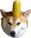 corndoge