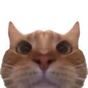 swagstare5 swagstare5