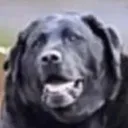 OldBrian