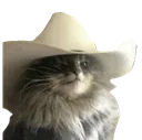 meowdy