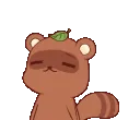 tanukigoodmorning