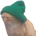 CatBeanie