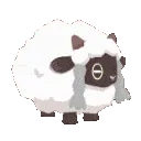 wooloospin wooloospin