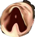 AMEGALUL