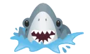 brucesplash