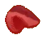 HyperBruce