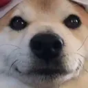 Didnt Laugh didntlaugh Discord Emoji