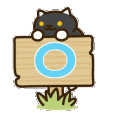 cat_says_yes
