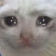 plz
