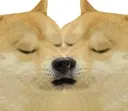 homiekiss