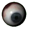 eye2 eye2