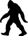 BigFoot