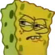 spongedisgust