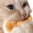 staremunch