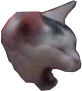 catscream Discord emoji