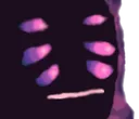 Sadgnus