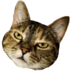 juni
