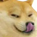 D3_dogeLICKsmug