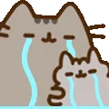 crycats