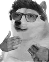 dogestuff