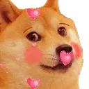 DogeBlushe