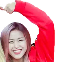 2shinheart2 Discord Emoji