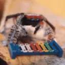 merryxylophone
