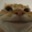 Catastrophe_kk