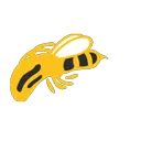 colorBEE