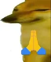 prayingdoge