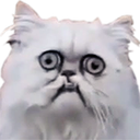 :dorp: Discord Emote